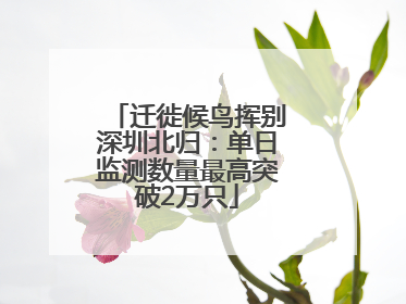 迁徙候鸟挥别深圳北归：单日监测数量最高突破2万只