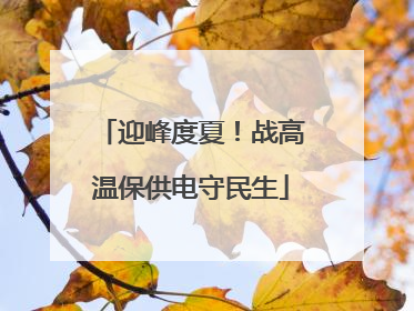 迎峰度夏！战高温保供电守民生