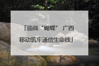 迎战“蝴蝶” 广西移动筑牢通信生命线