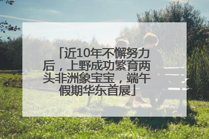 近10年不懈努力后，上野成功繁育两头非洲象宝宝，端午假期华东首展