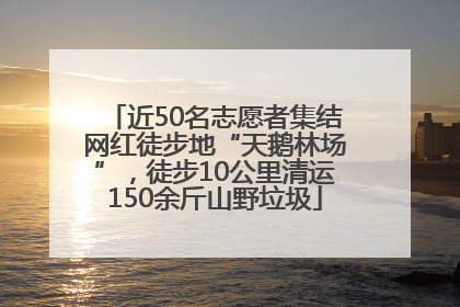 近50名志愿者集结网红徒步地“天鹅林场”，徒步10公里清运150余斤山野垃圾