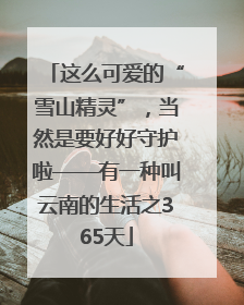 这么可爱的“雪山精灵”，当然是要好好守护啦——有一种叫云南的生活之365天