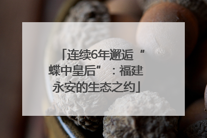 连续6年邂逅“蝶中皇后”：福建永安的生态之约