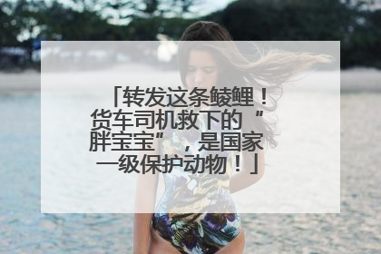 转发这条鲮鲤！货车司机救下的“胖宝宝”，是国家一级保护动物！