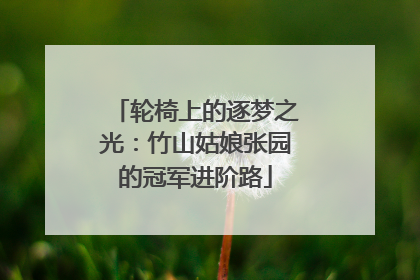 轮椅上的逐梦之光：竹山姑娘张园的冠军进阶路