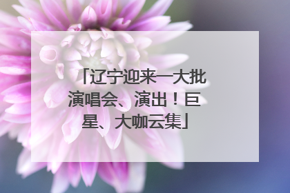 辽宁迎来一大批演唱会、演出！巨星、大咖云集