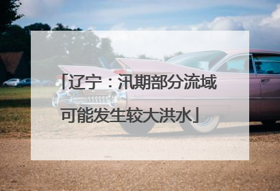 辽宁：汛期部分流域可能发生较大洪水