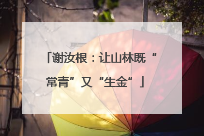 谢汝根：让山林既“常青”又“生金”