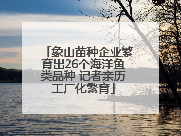 象山苗种企业繁育出26个海洋鱼类品种 记者亲历工厂化繁育