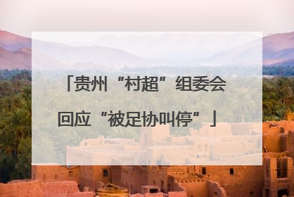 贵州“村超”组委会回应“被足协叫停”