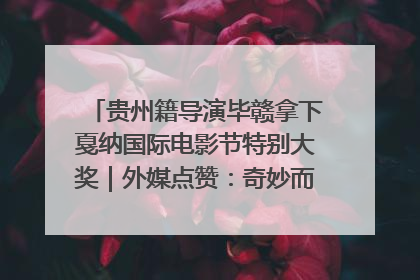 贵州籍导演毕赣拿下戛纳国际电影节特别大奖｜外媒点赞：奇妙而广阔的纯粹电影梦