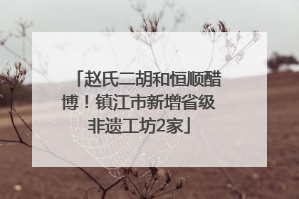 赵氏二胡和恒顺醋博！镇江市新增省级非遗工坊2家
