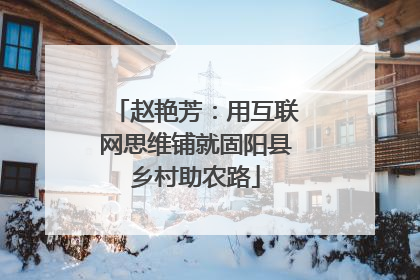 赵艳芳：用互联网思维铺就固阳县乡村助农路