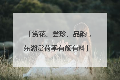 赏花、尝珍、品韵，东湖赏荷季有颜有料