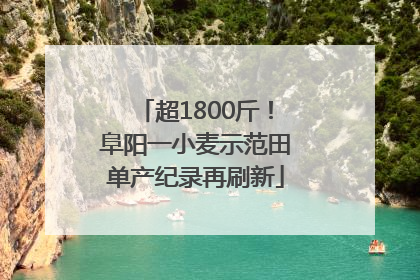 超1800斤！阜阳一小麦示范田单产纪录再刷新
