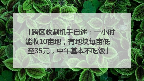 跨区收割机手自述：一小时能收10亩地，有地块每亩低至35元，中午基本不吃饭