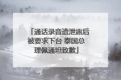通话录音遭泄露后被要求下台 泰国总理佩通坦致歉