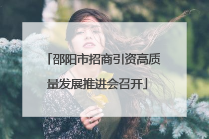 邵阳市招商引资高质量发展推进会召开