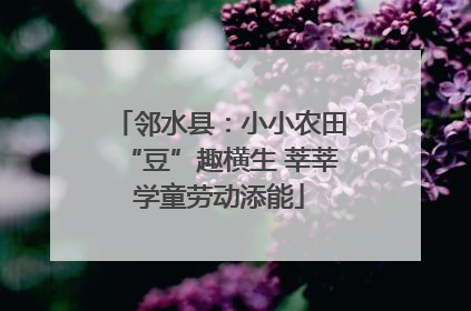 邻水县：小小农田“豆”趣横生 莘莘学童劳动添能
