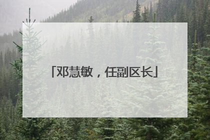 邓慧敏，任副区长