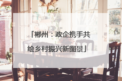 郴州：政企携手共绘乡村振兴新图景