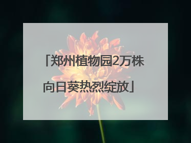 郑州植物园2万株向日葵热烈绽放