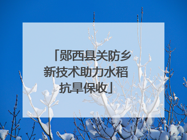 郧西县关防乡新技术助力水稻抗旱保收