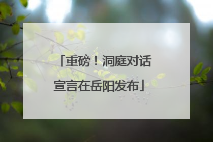 重磅！洞庭对话宣言在岳阳发布