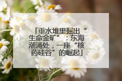 重水堆里掘出“生命金矿”：东海潮涌处，一座“核药硅谷”的崛起