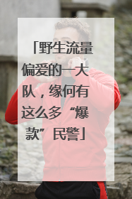 野生流量偏爱的一大队，缘何有这么多“爆款”民警