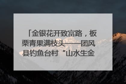 金银花开致富路，板栗青果满枝头——团风县钓鱼台村“山水生金”谱写共富新篇章