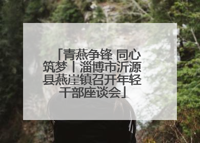 青燕争锋 同心筑梦丨淄博市沂源县燕崖镇召开年轻干部座谈会