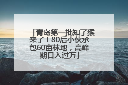 青岛第一批知了猴来了！80后小伙承包60亩林地，高峰期日入过万