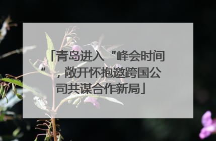 青岛进入“峰会时间”，敞开怀抱邀跨国公司共谋合作新局