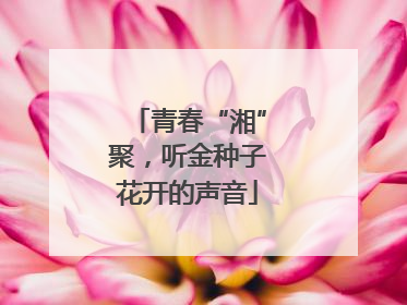 青春“湘”聚，听金种子花开的声音