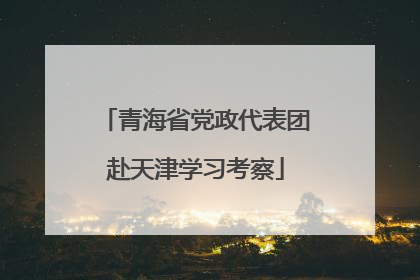 青海省党政代表团赴天津学习考察