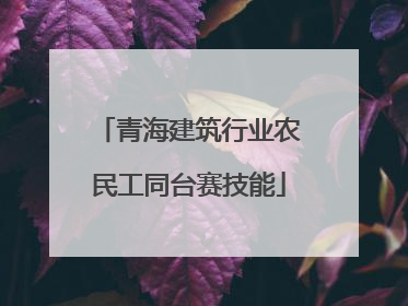 青海建筑行业农民工同台赛技能