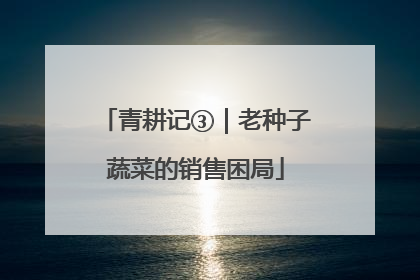 青耕记③｜老种子蔬菜的销售困局