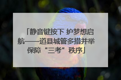 静音键按下 护梦想启航——道县城管多措并举保障“三考”秩序