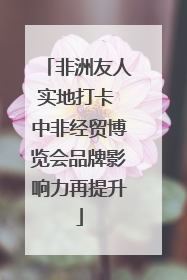 非洲友人实地打卡 中非经贸博览会品牌影响力再提升
