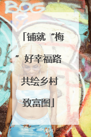 铺就“梅”好幸福路 共绘乡村致富图
