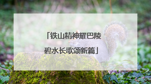 铁山精神耀巴陵 碧水长歌颂新篇