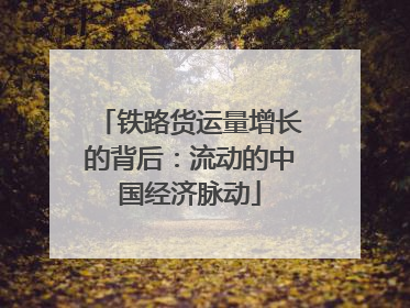 铁路货运量增长的背后：流动的中国经济脉动