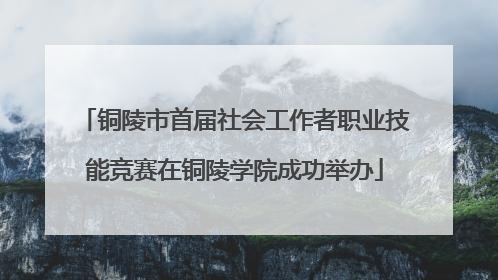 铜陵市首届社会工作者职业技能竞赛在铜陵学院成功举办