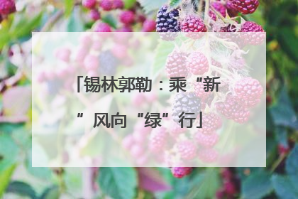 锡林郭勒：乘“新”风向“绿”行