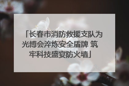 长春市消防救援支队为光博会淬炼安全盾牌 筑牢科技盛宴防火墙