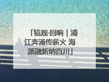 镜观·回响｜浦江奔涌传薪火 海派融新纳百川