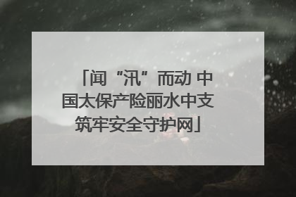 闻“汛”而动 中国太保产险丽水中支筑牢安全守护网
