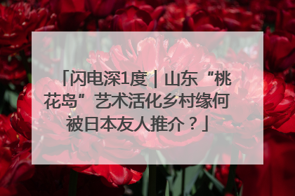 闪电深1度｜山东“桃花岛”艺术活化乡村缘何被日本友人推介？