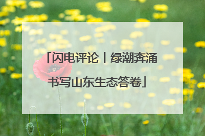 闪电评论丨绿潮奔涌 书写山东生态答卷